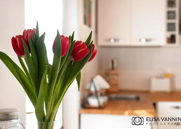 Pit Stop 3* بيزا