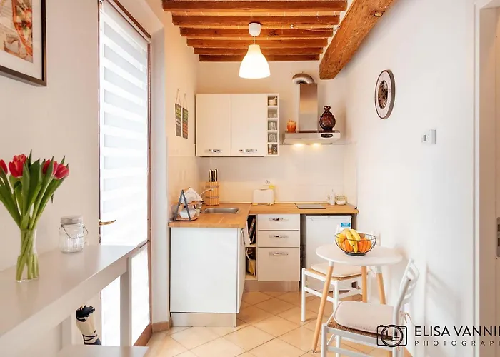 بيت ضيافة Pit Stop بيزا