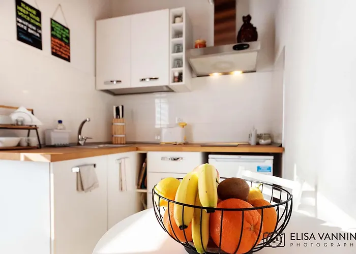 Pit Stop Gasthuis Pisa